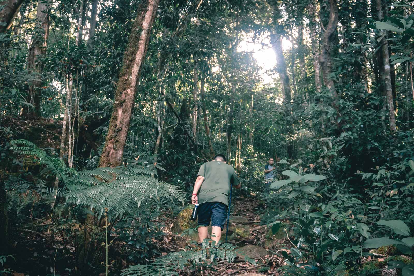 Cambodia Best Trekking Tour with Mekong River 15 Days